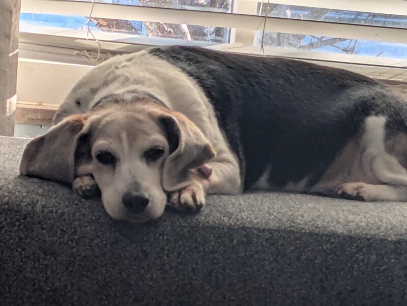 I'm not going to stop staring until you make my dinner