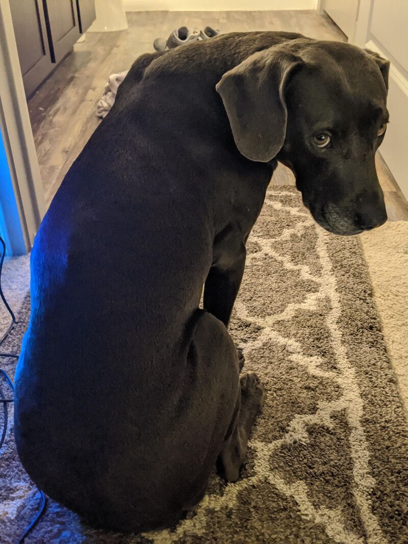 The first time she gave me this look