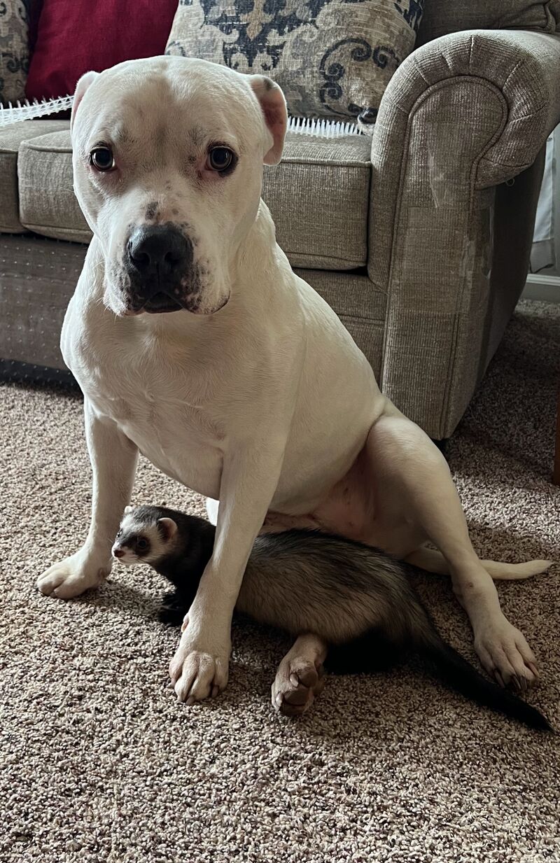 Ohhhh my Godddddd,,,, it's right next to me,,,,, isn't it??!!