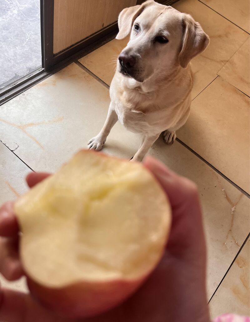 Just because I took the first bite