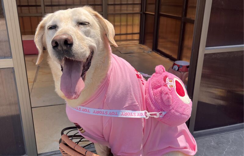 Check out my sunny look