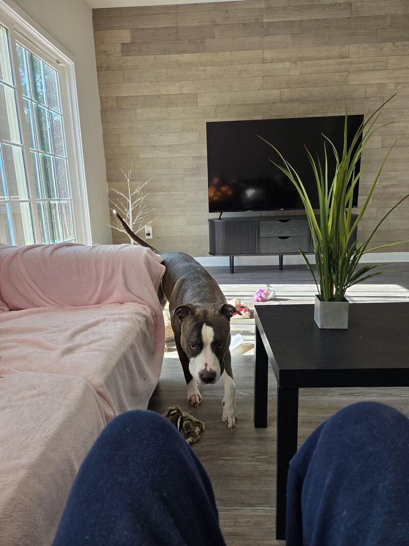 Athena is getting big