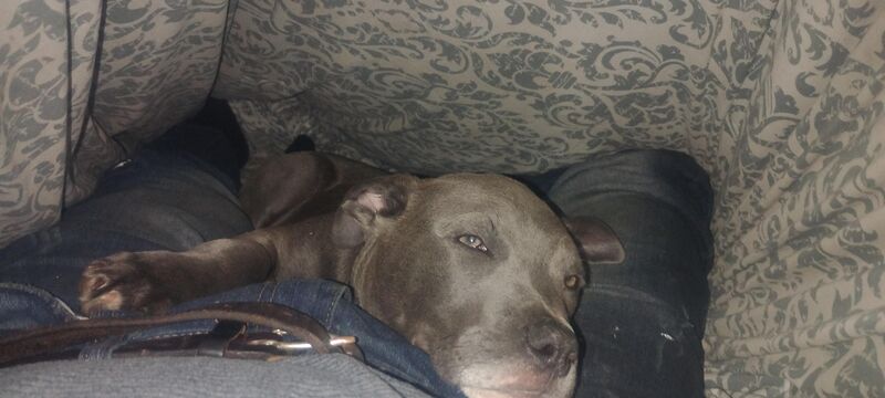 Does anybody else have this problem when it's bedtime