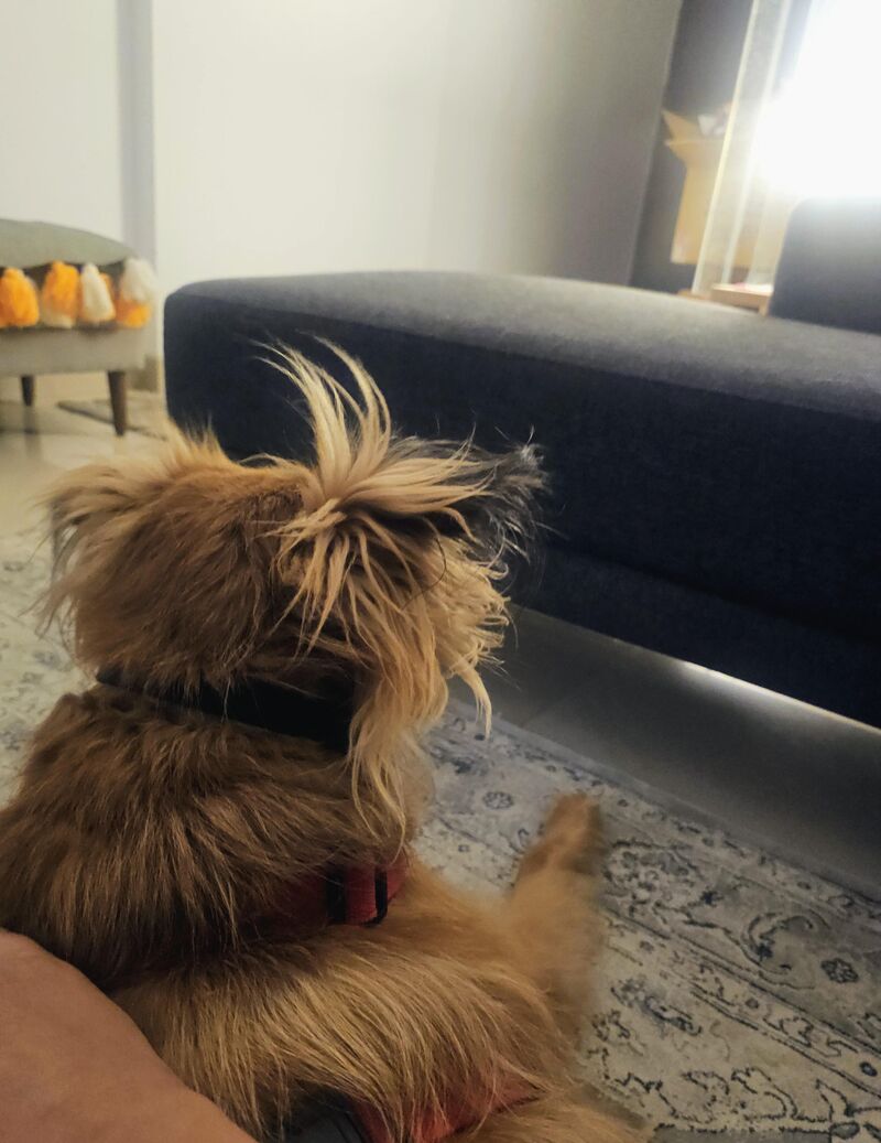 Waking up from a long nap 😴