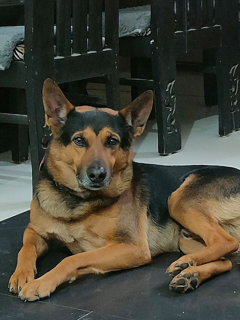 The eye contact he makes when I m having dinner