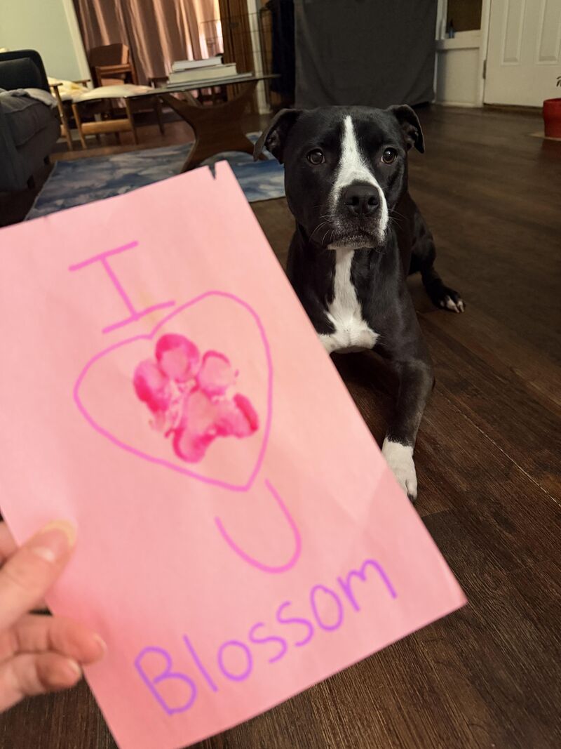 Blossom’s daycare told me she made me this Valentine’s Day card. But her face is telling me she didn’t do it willingly.