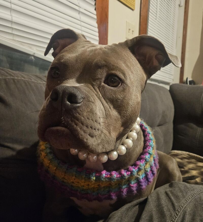 BUG got a scarf from aunty, she loves it. Shes been wearing it since Saturday