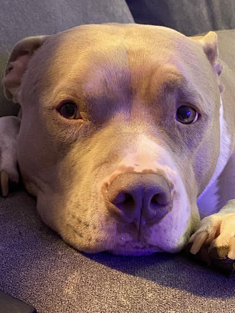 Look into my eyes 👀