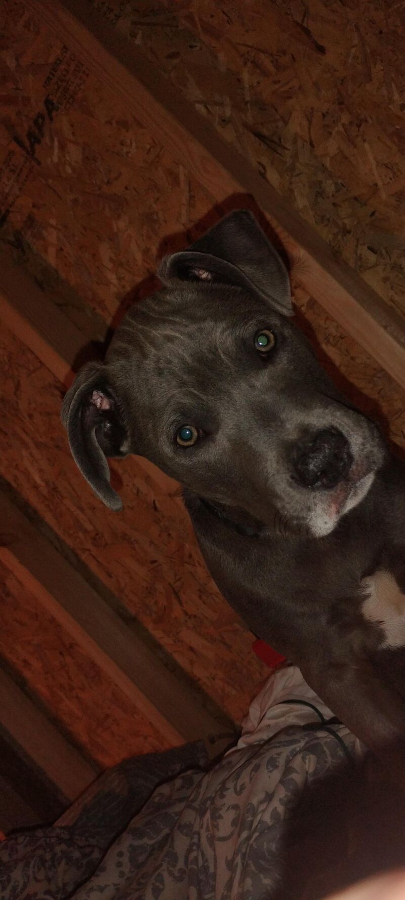 Look who's finally awake