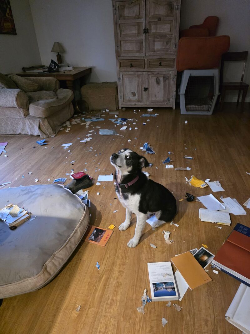 Look what I came home to...