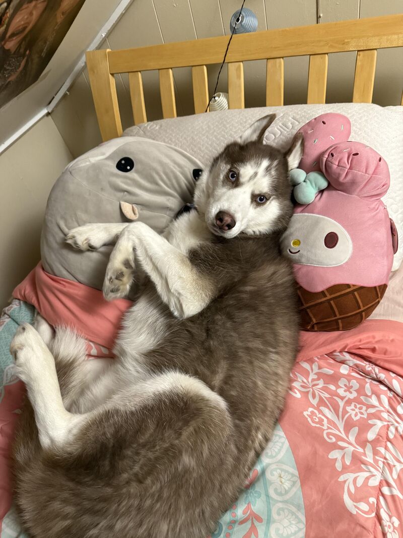 He’s just a girl!!