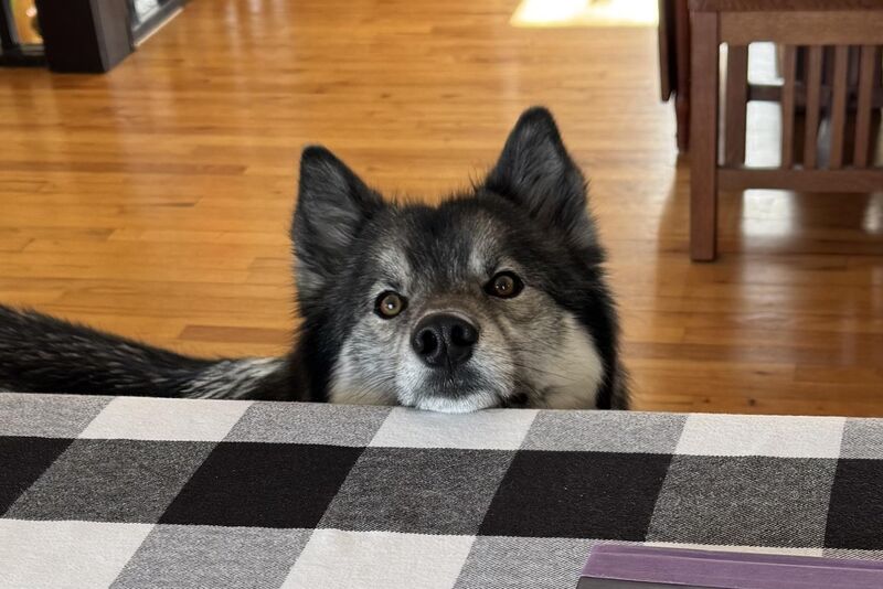 Trying to be his cutest!