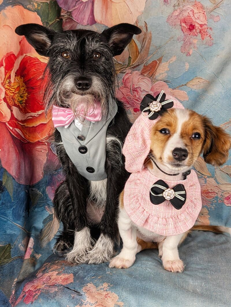 Look at my cuties ❤️