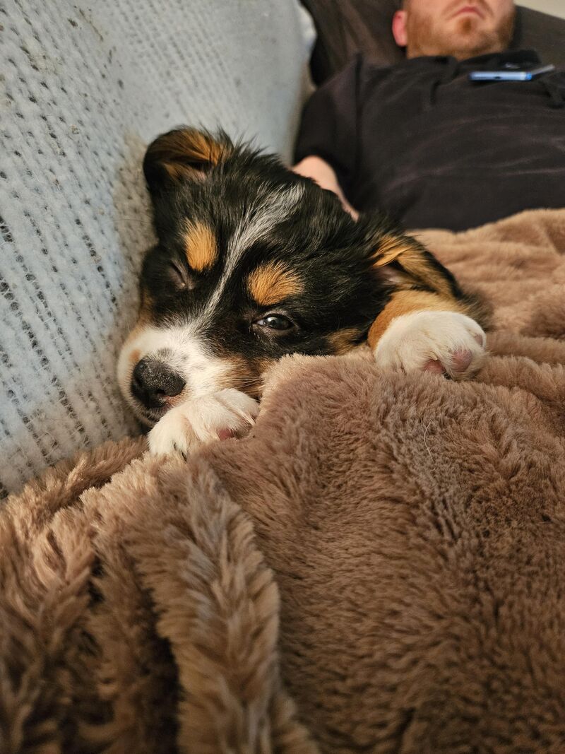 Just look at that cute little face