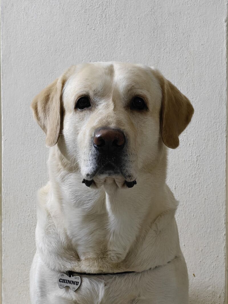 I'm blessed, he's my happiness 🐾