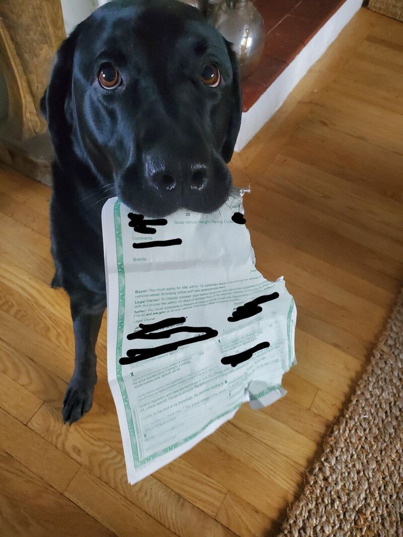 I now have to tell my CPA 