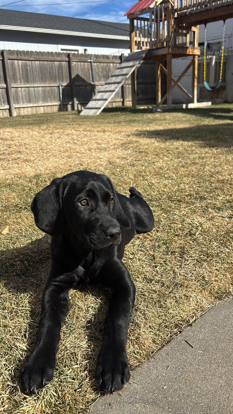 Laid out for 70 degree weather in CO