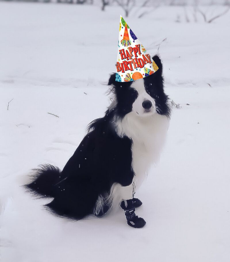 Guess who is 2 years old today!