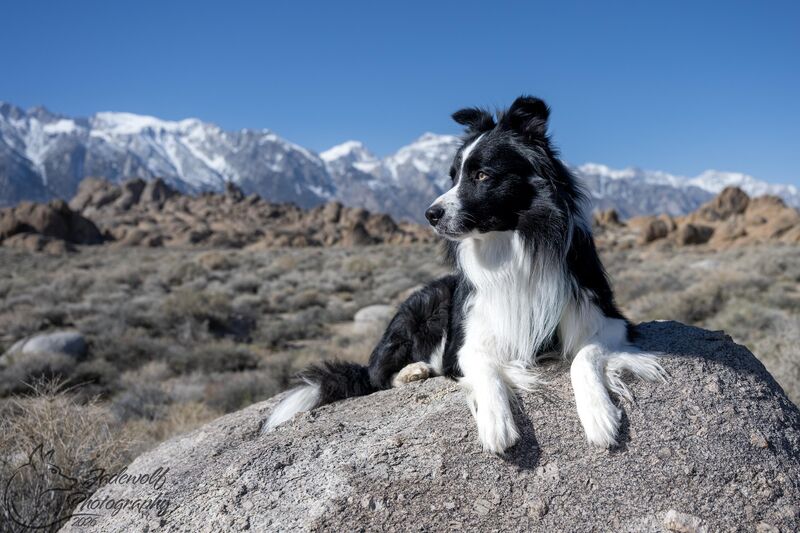 Mesa & the Mountains