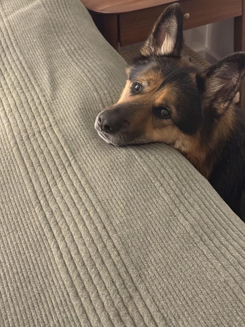 When he’s waiting for you to finish putting the clean sheets on