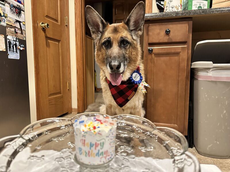 Celebrating 10 wonderful years!