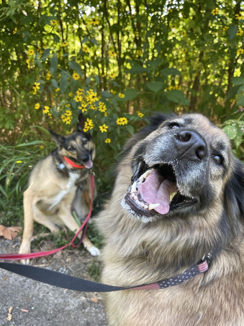 Would you buy this album?