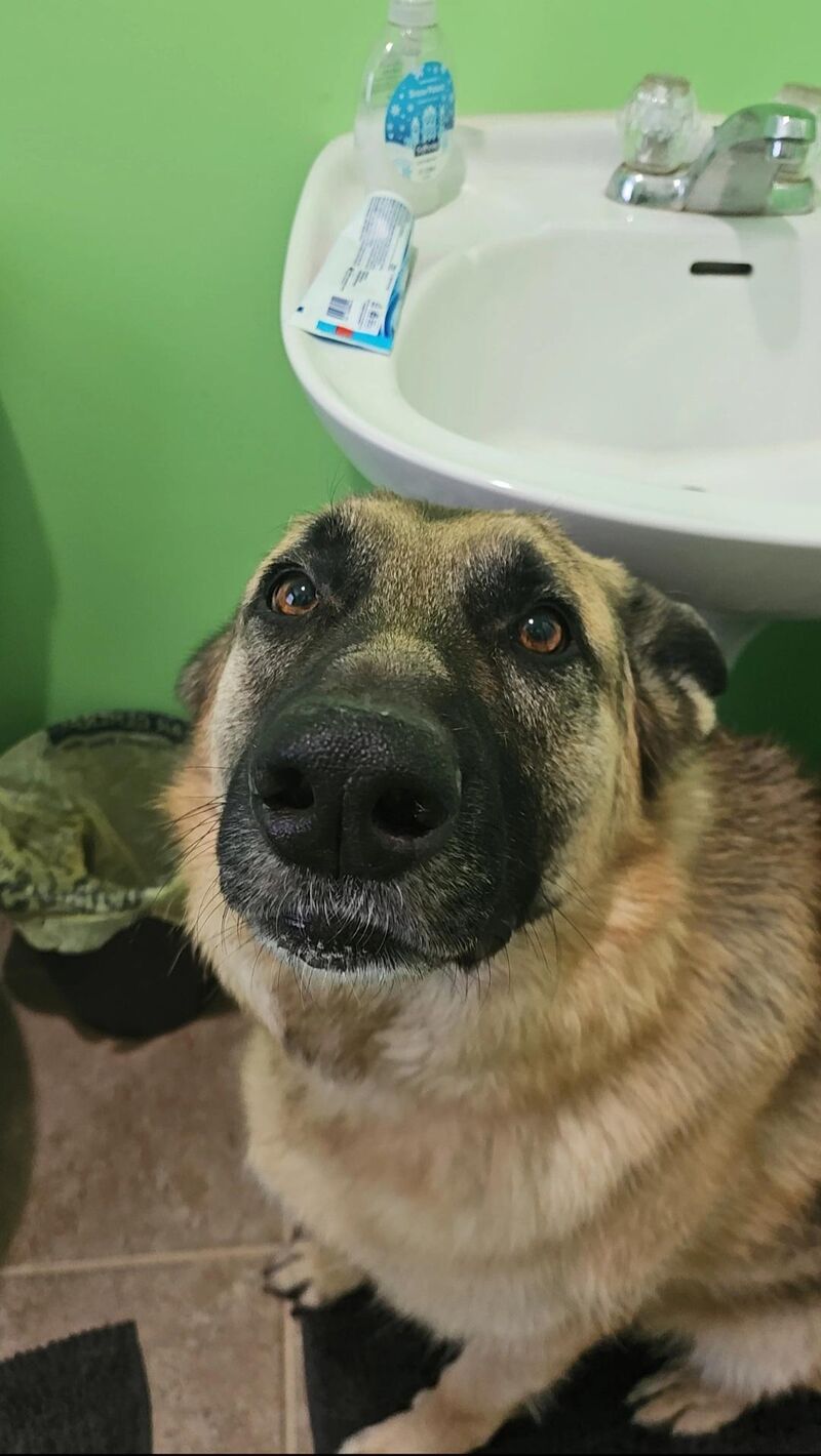 I told him it was bath time...