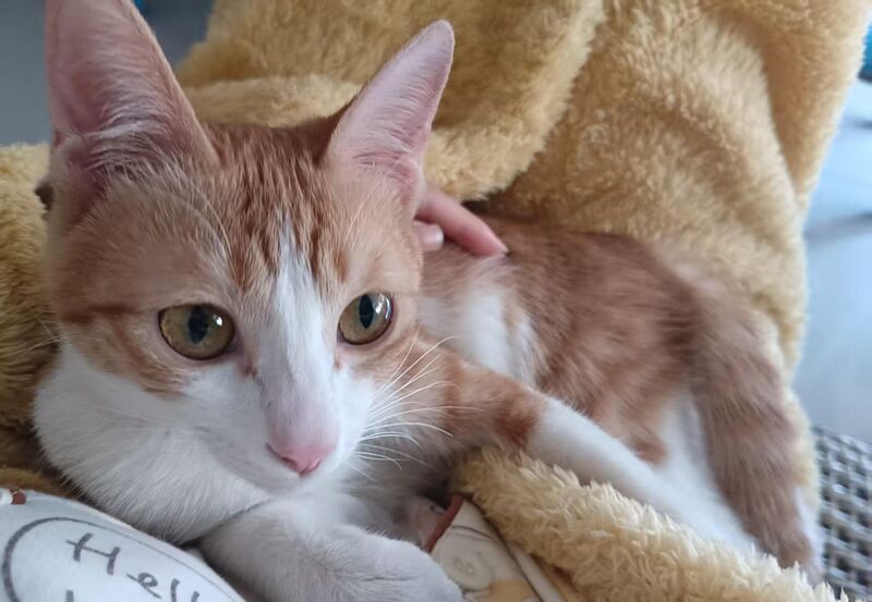 Sup fam,Good morning,my sweetheart has come to wake me up