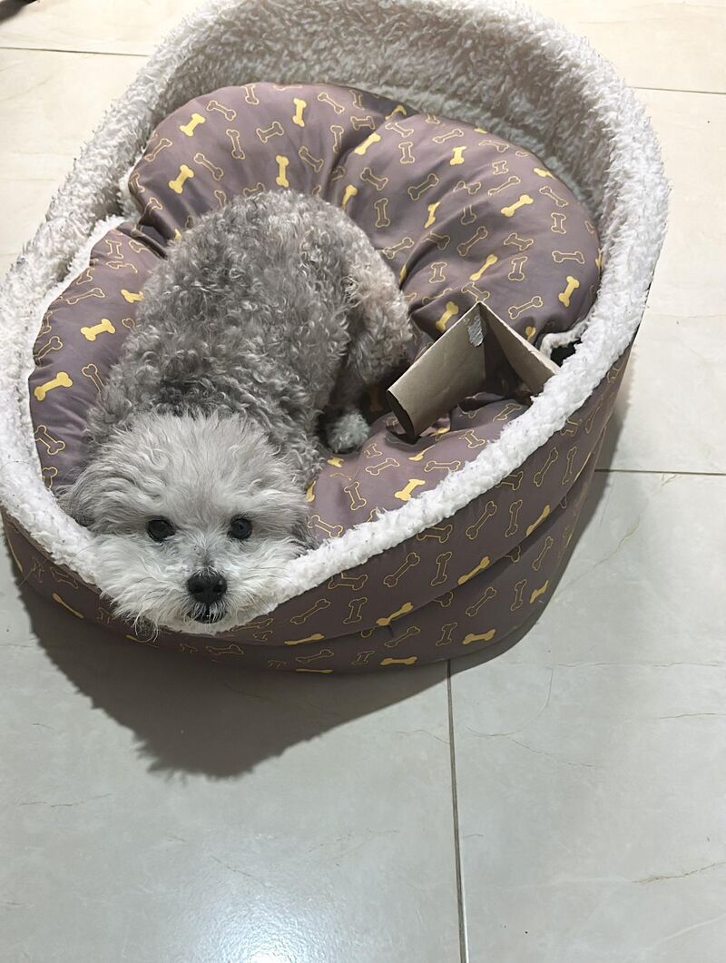 I can't imagine a life without my baby