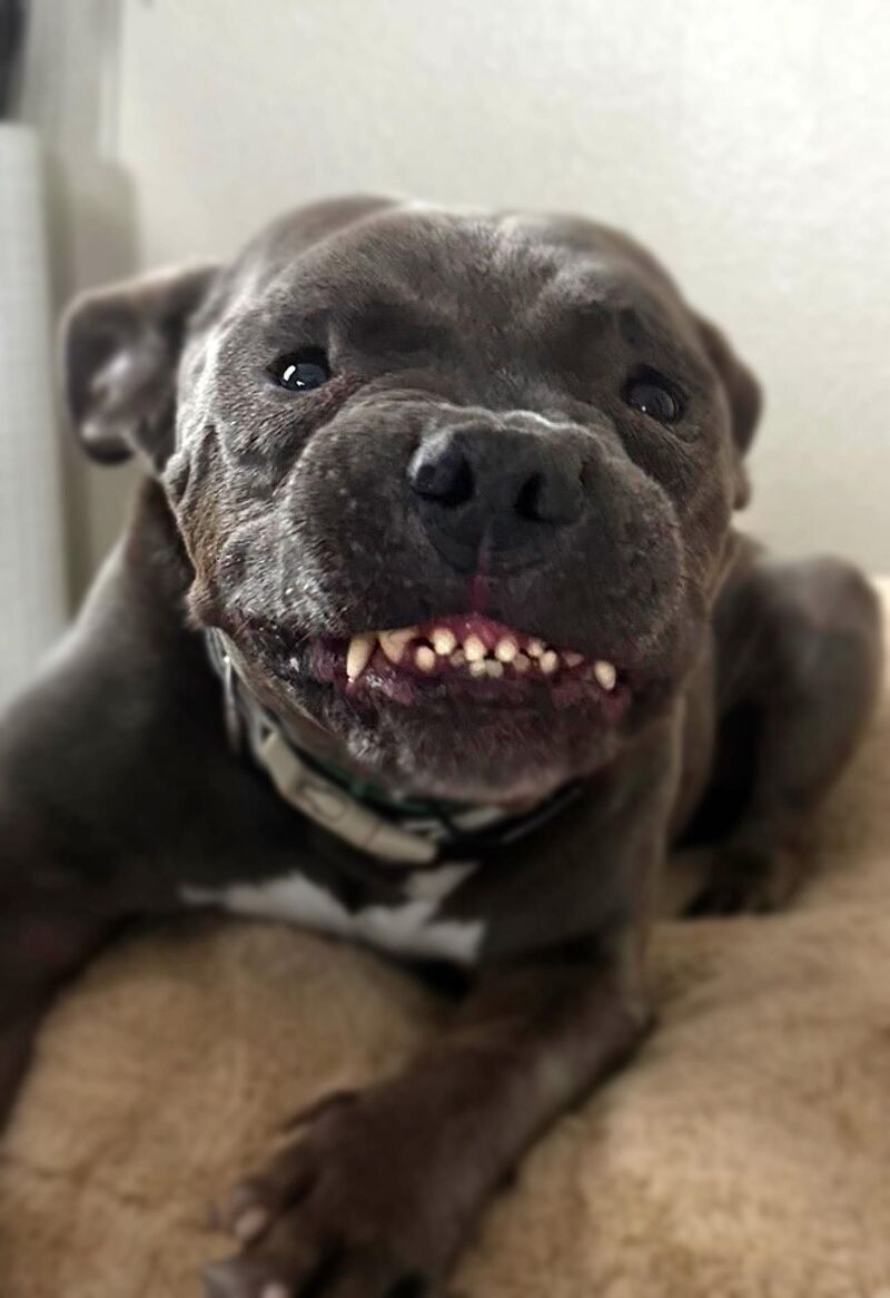 Living his best life