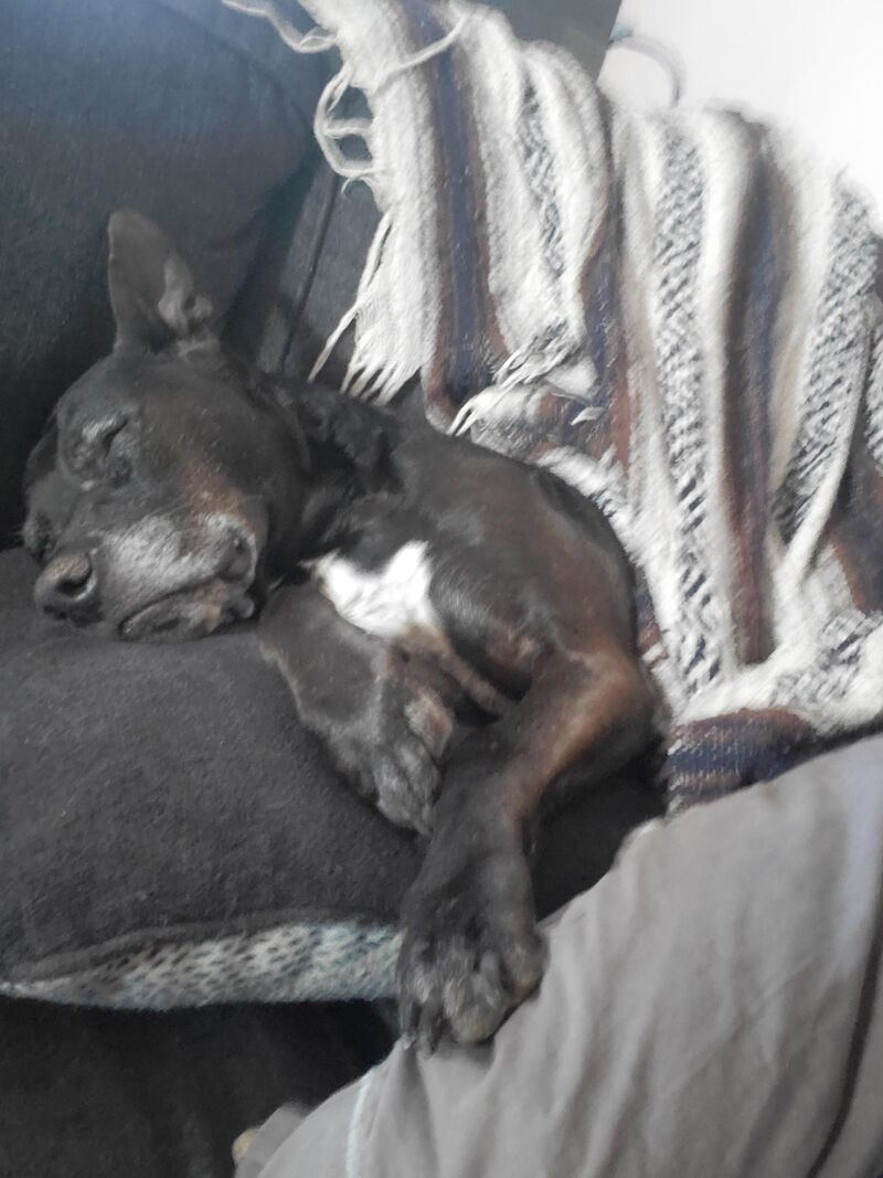 My old man always so cozy