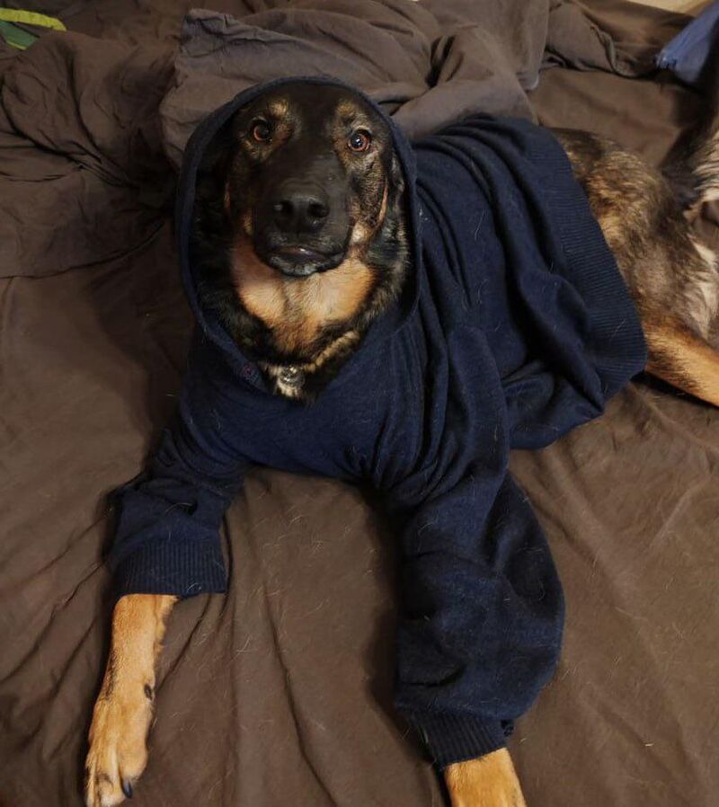 he doesn’t understand that is my hoodie