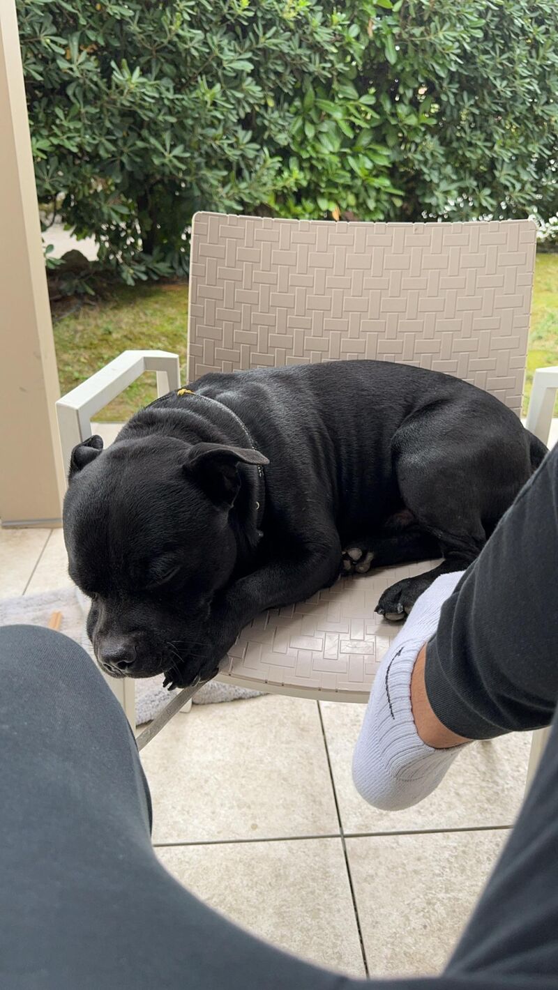 No matter where - he finds a place to sleep next to me