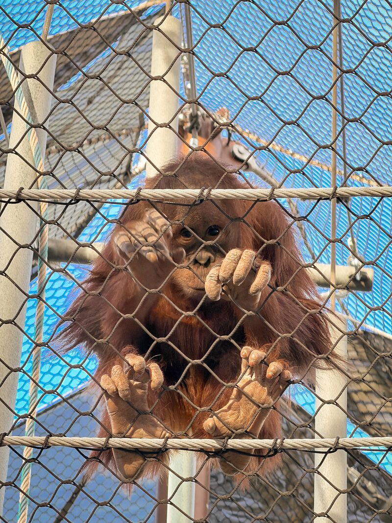 This little one kept staring at me