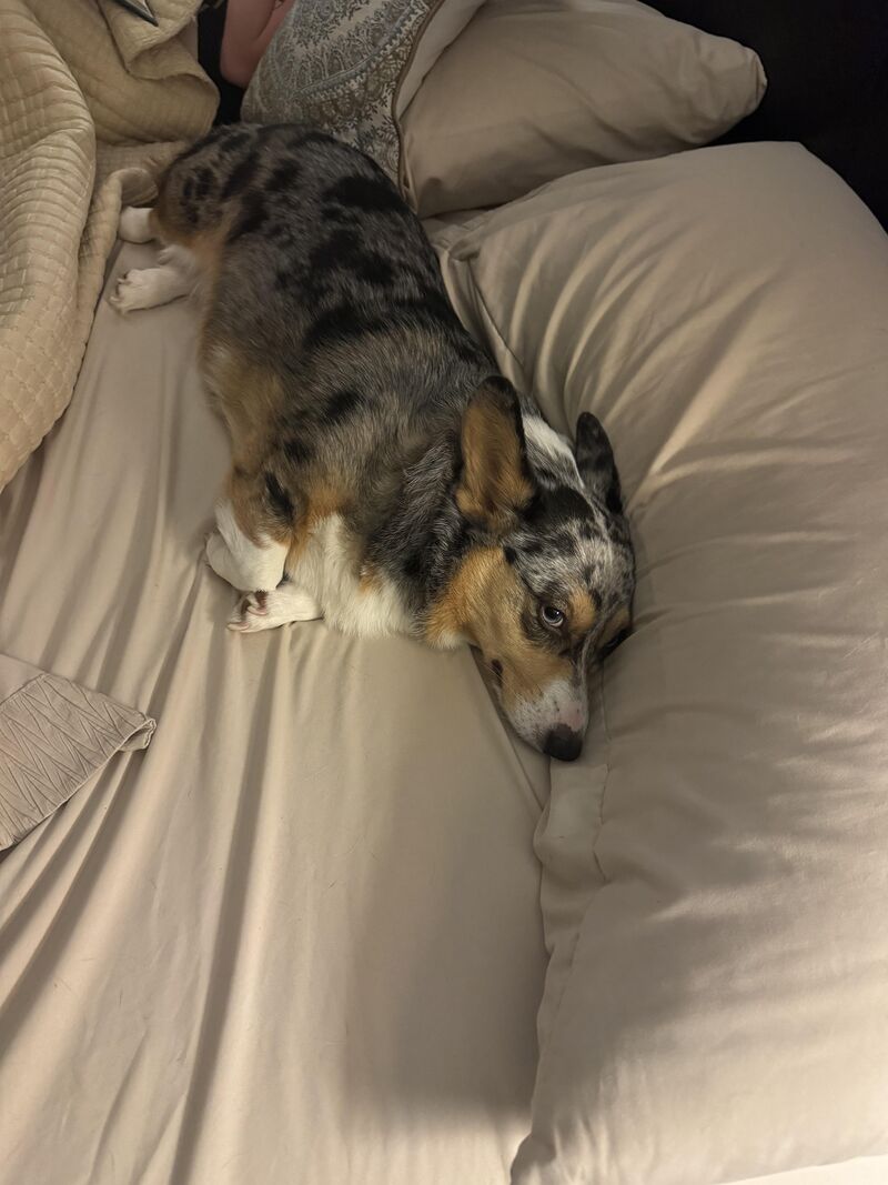 I guess I’ll sleep in the other room.