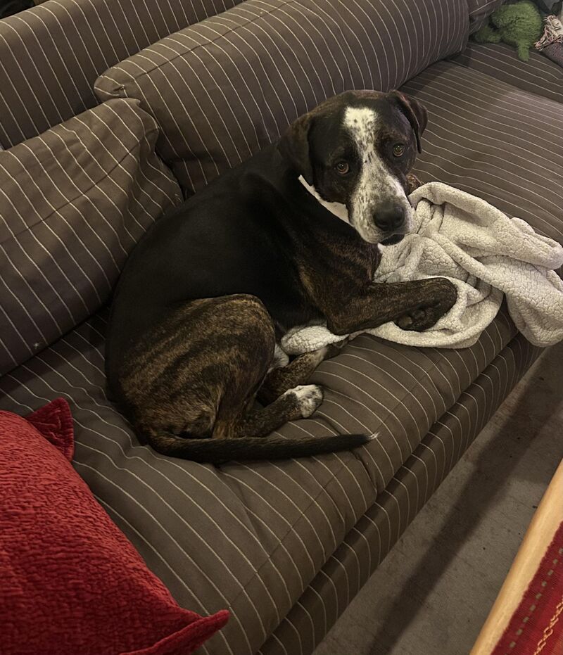 I get up for one minute and someone stole my spot