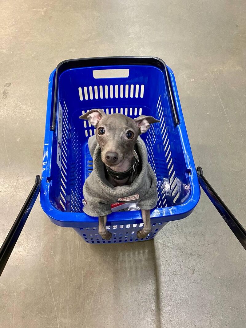 lil bro is waiting for some snacks