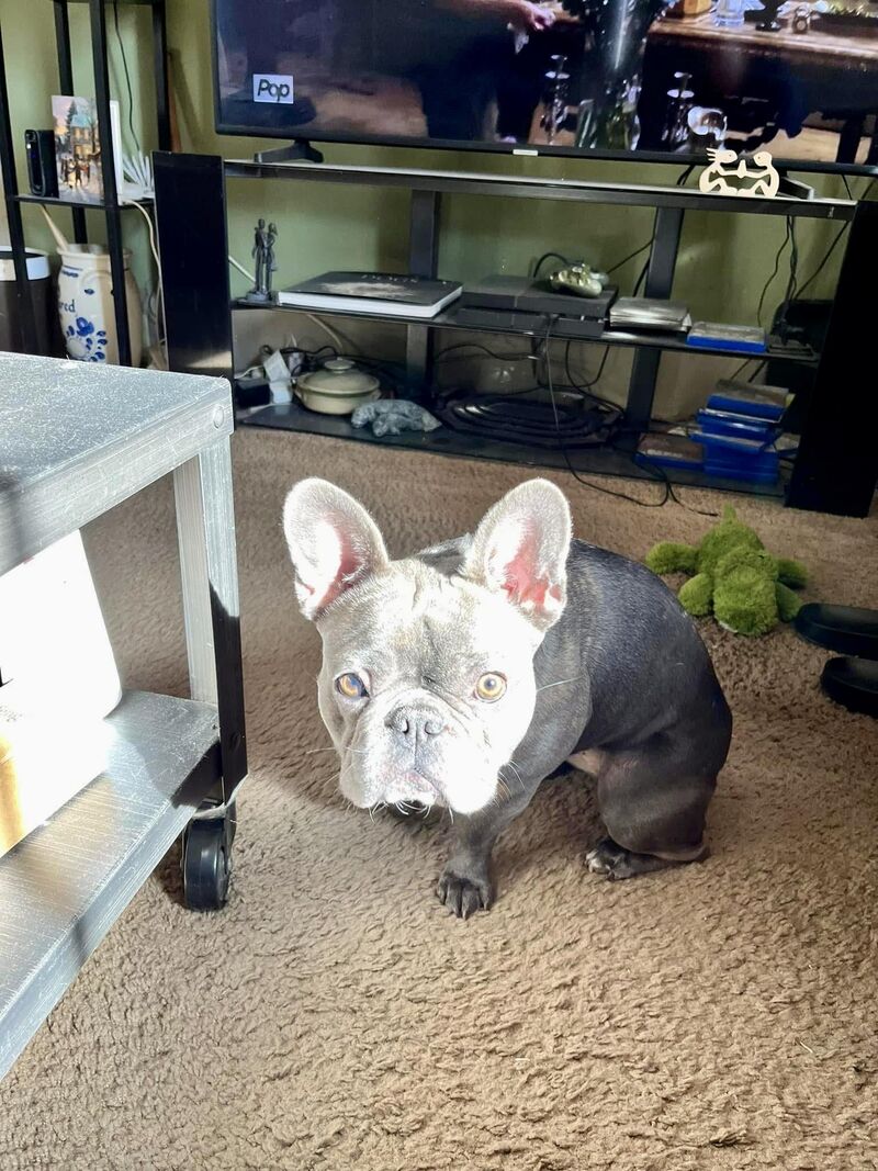 She didn’t choose the spotlight life. The spotlight chose her. ☀️