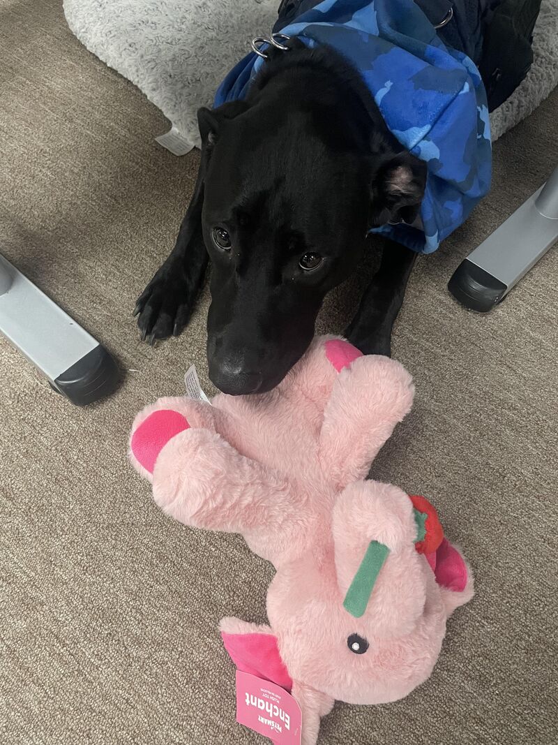 Valentine’s Day Gift from a student