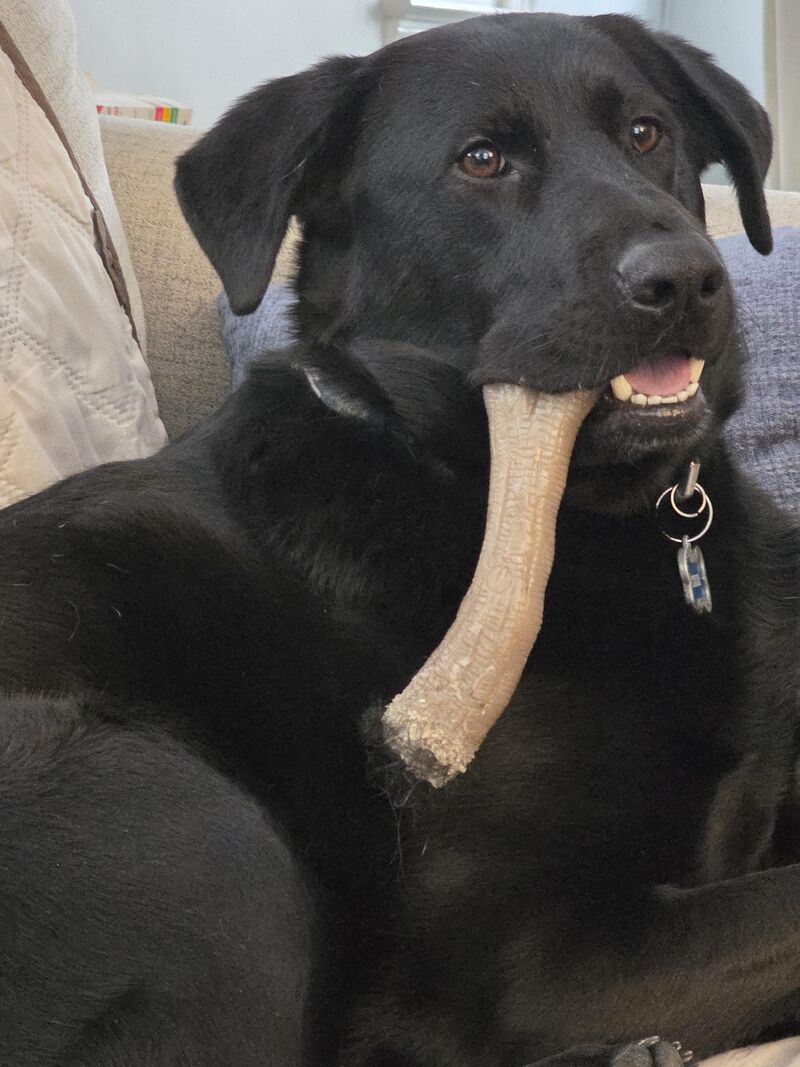 When the brain cells take a break