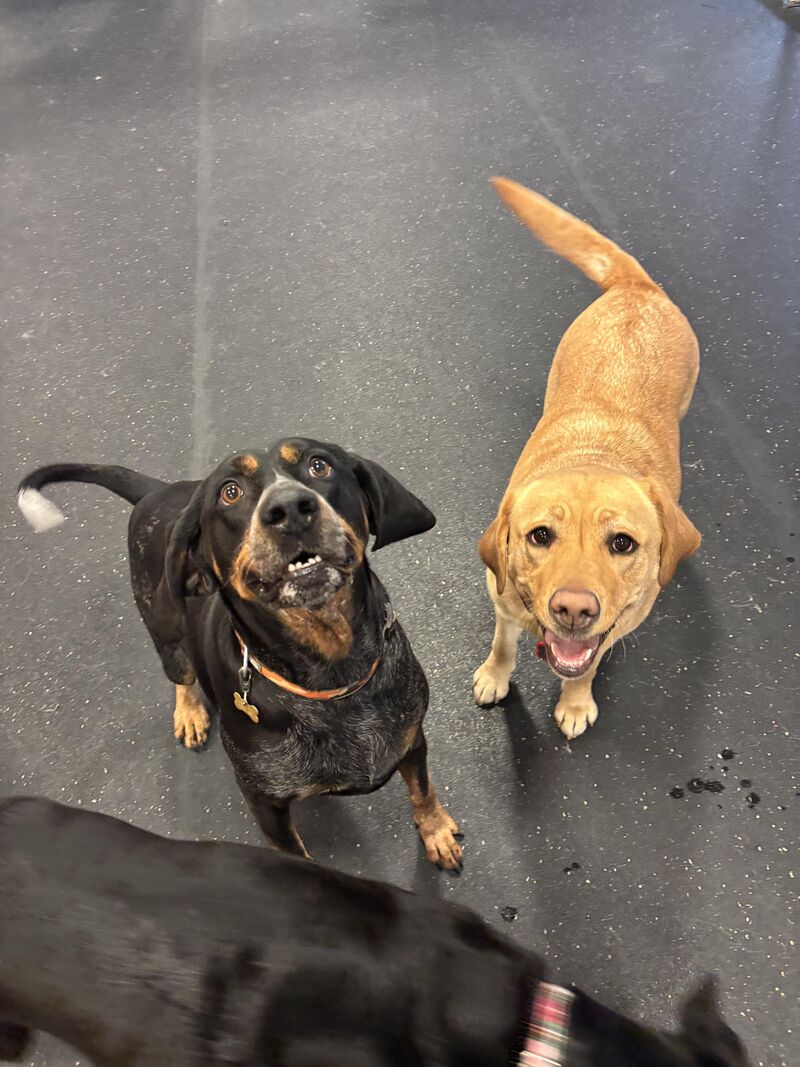 Happy Birthday Libby!