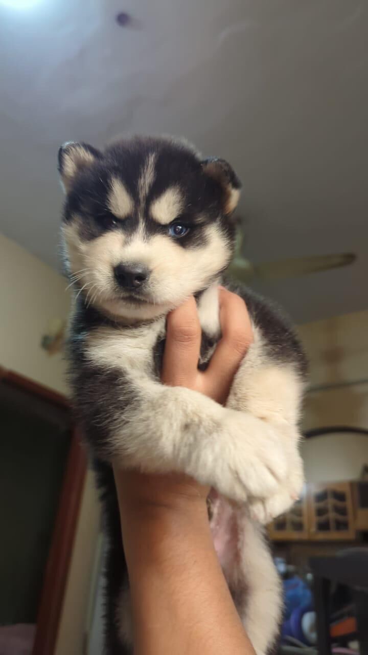 Ehh the eyess 😻🩷