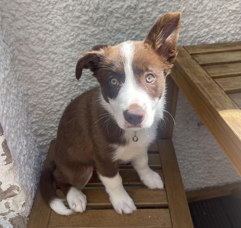 My little one is turning one🥳