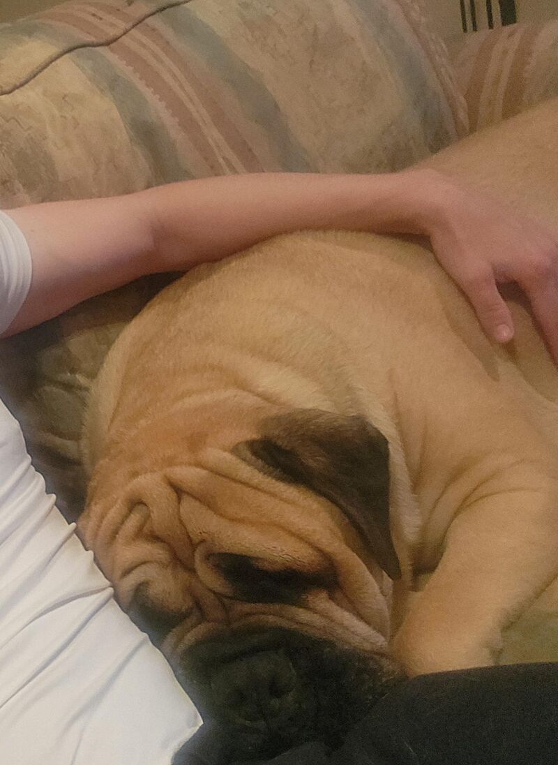 Once Dolph gets situated he is hard to move