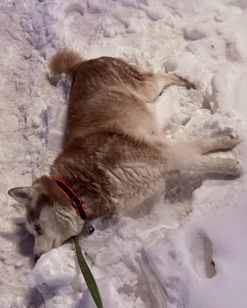 This walk is going to take all night