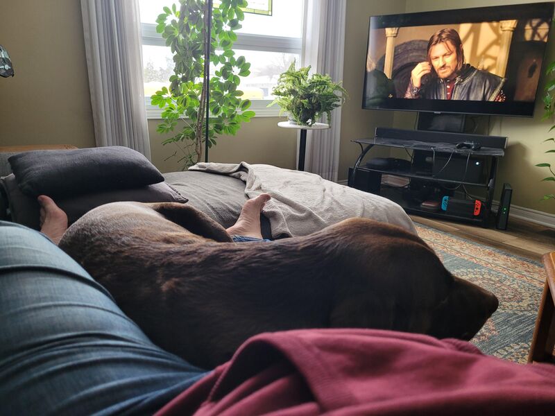 One does not simply lay on the couch