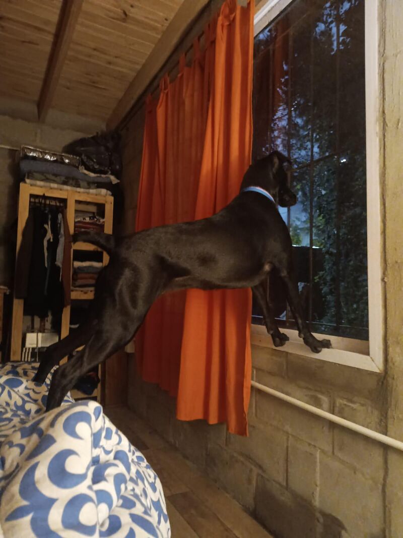 I'll discreetly look to see if anyone is coming... 🥹