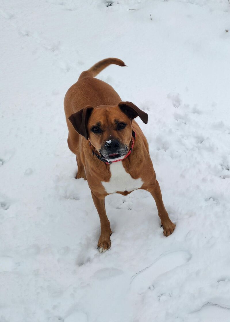 Just enjoying the snow.