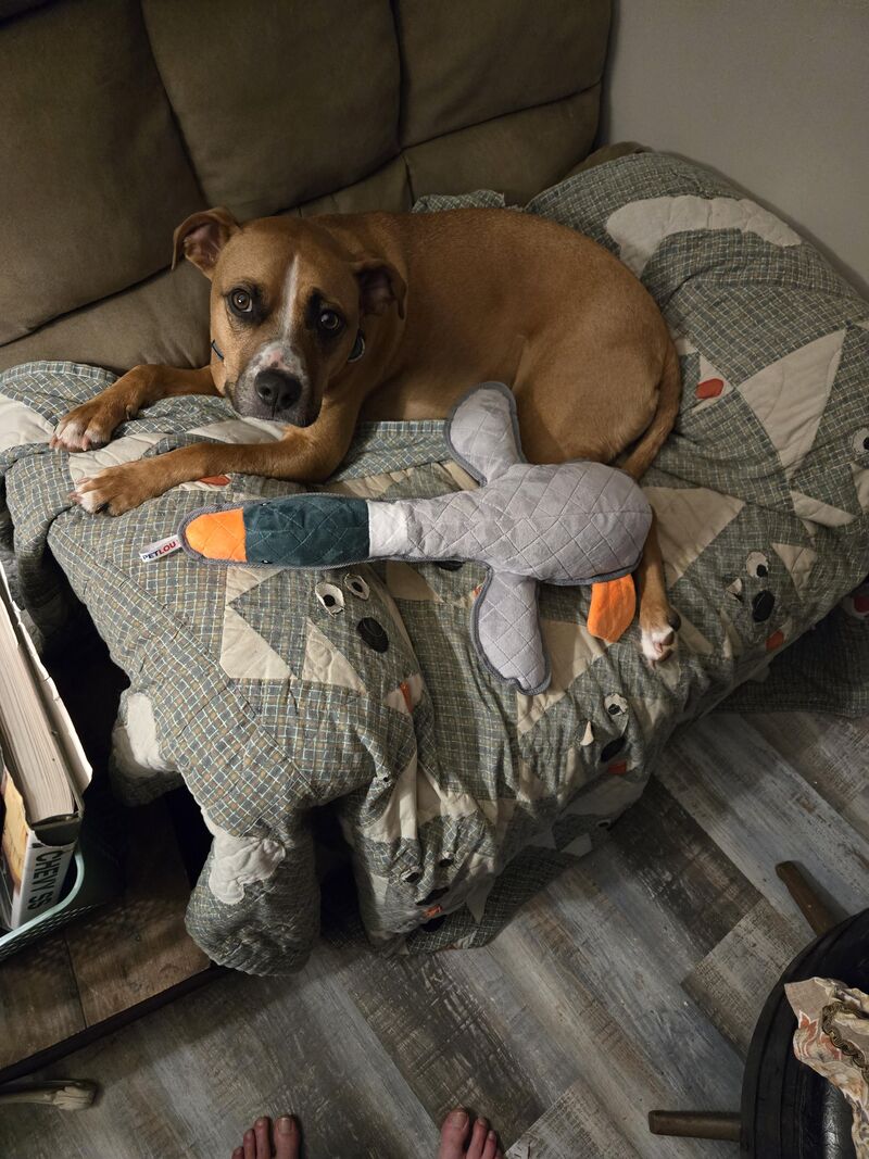 She has her own chair