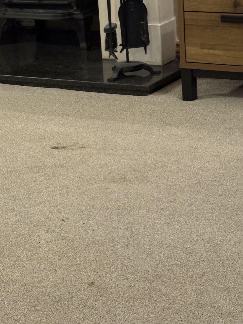 Please tell me every uk persons carpets look like this at the moment